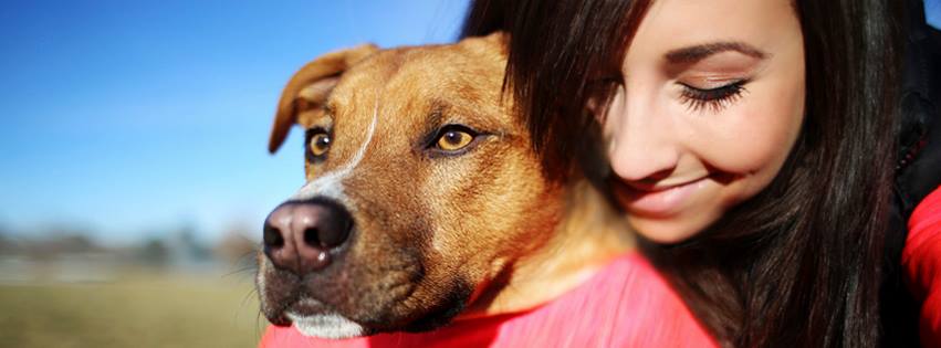 DogHero – Viaje tranquilo, encontre o melhor lar para seu cão