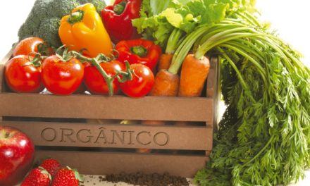 A colaboração vem ajudando pequenos produtores à vender orgânicos em Porto Alegre