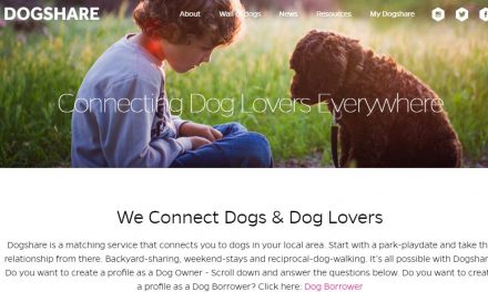 Dog Share, iniciativa compartilhada na área pet